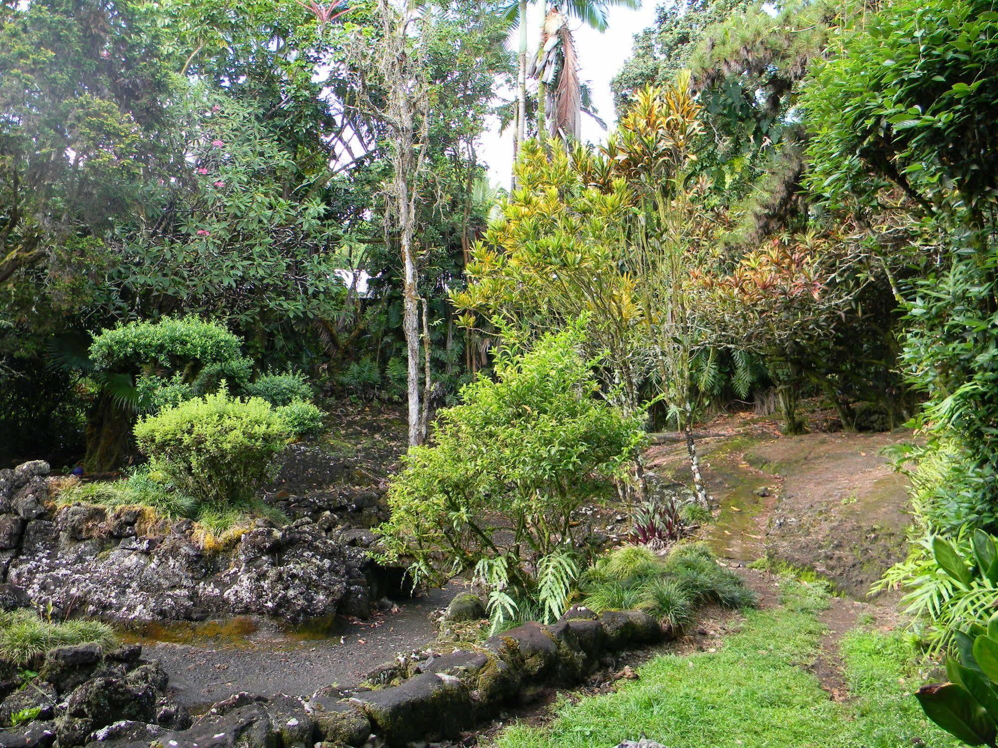 Maureen'S Bed And Breakfast Hilo Ngoại thất bức ảnh